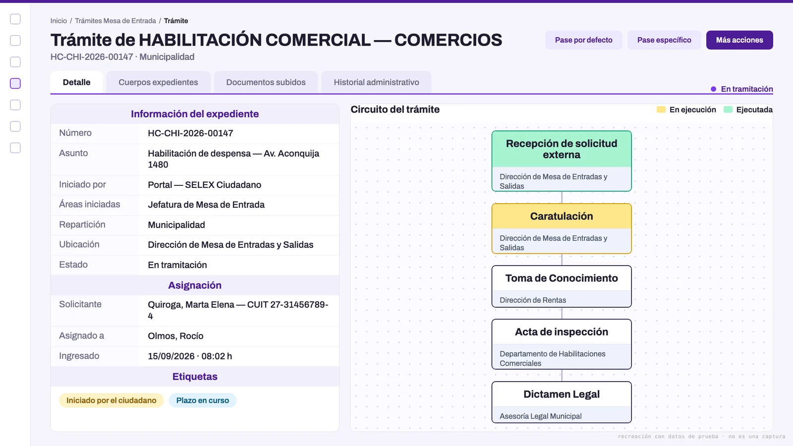 Vista de un expediente en Selex con sus datos, estado y el circuito del trámite